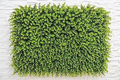 《黎明行者之血》想要再次革新RPG 但会小心翼翼